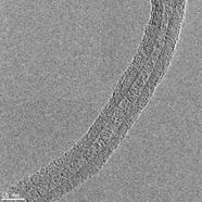 TEM image of XWS grade